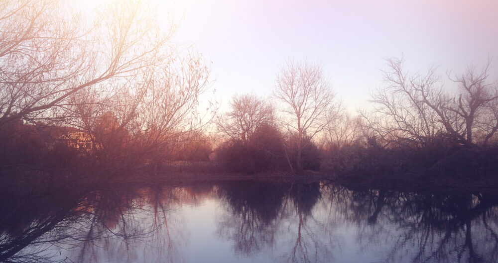 Lakewood Hills Estates