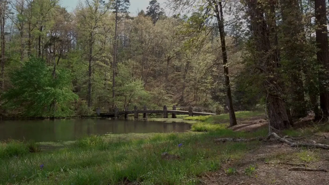 Opening frame of the film on the Ashton Walk developer's site